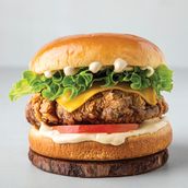 Oxygen chicken burger
