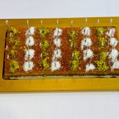 Basbosa Spaniya