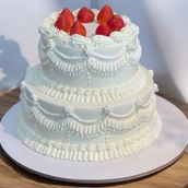 Two Layer Cake 01