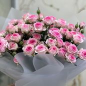 Spray Roses 