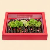 Grape Leaves Box 40 Pieces