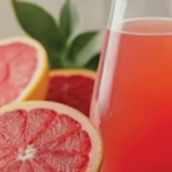 FORBIDDEN CITRUS
