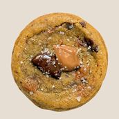 Chocolate sea salt cookie