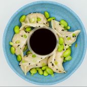 Steamed Gyoza
