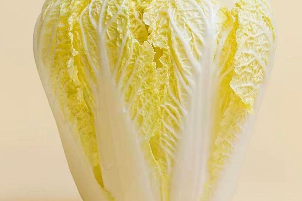 多多的中国白菜 Chinese Leaf