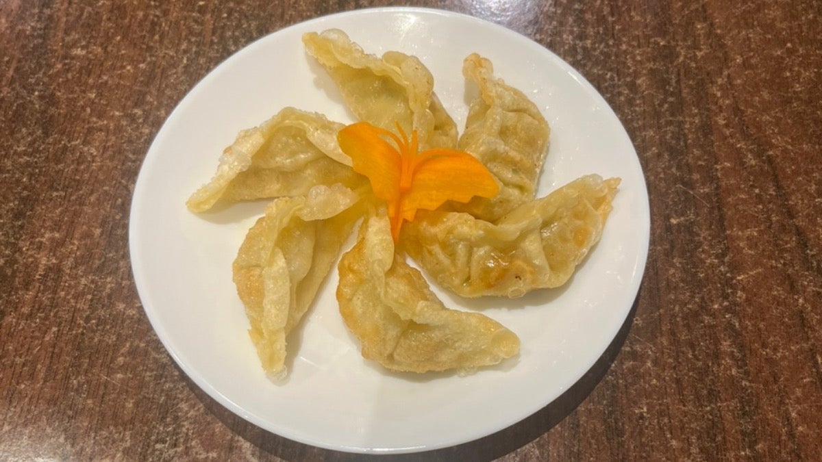 Chicken Mandu