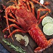 Lobster