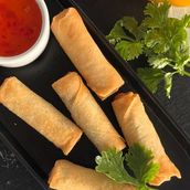 Crispy Garden Delight Spring Roll