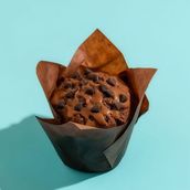 Chocolate Muffin
