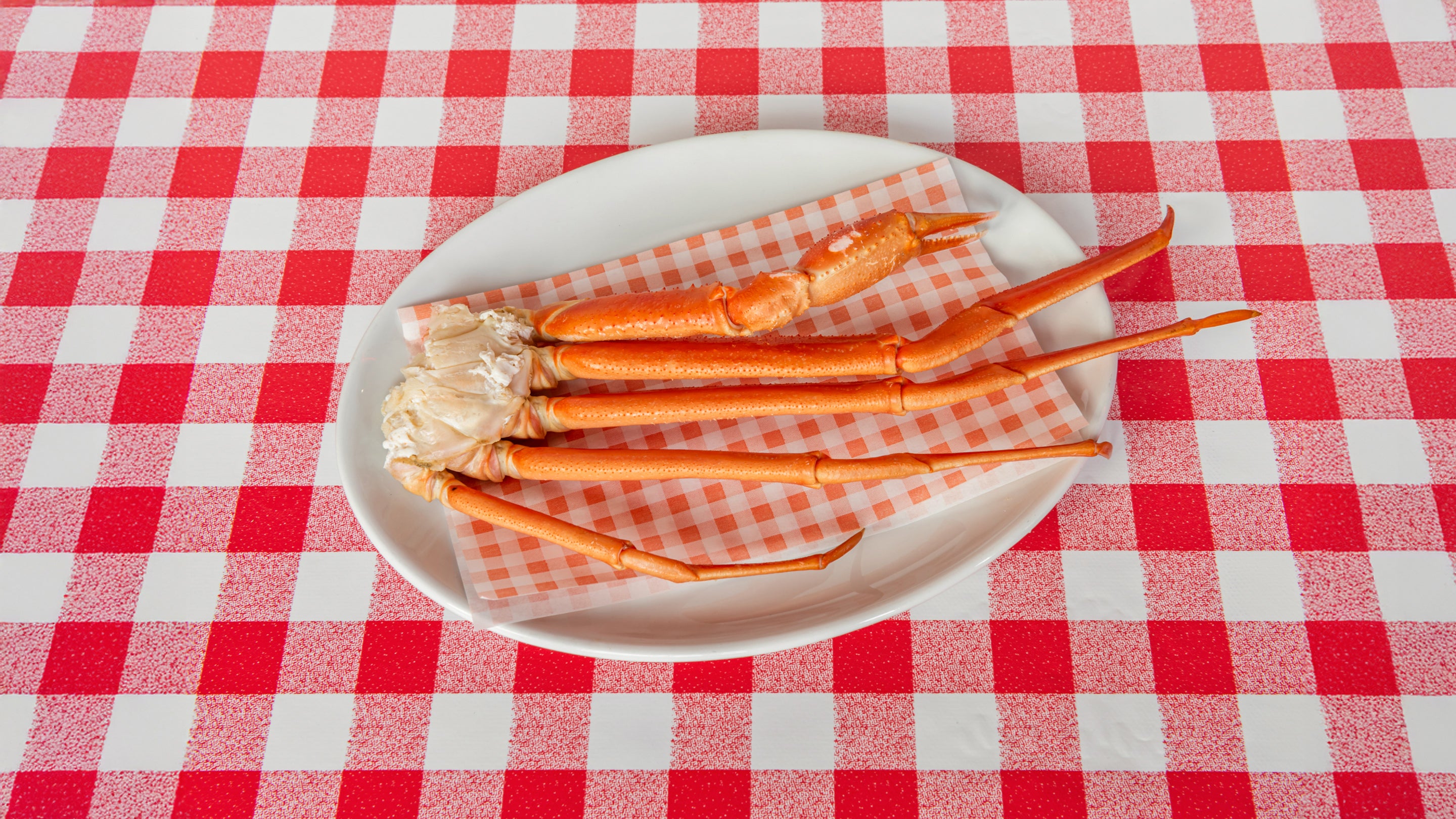 Snow Crab