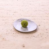 Matcha Protein Bite