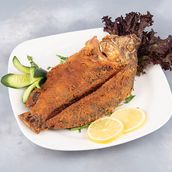 Tilapia