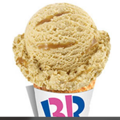 Baskin Vanilla