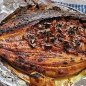 Sea Bass Fish