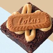 Fudgy brownie - Lotus