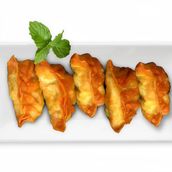 Wonton