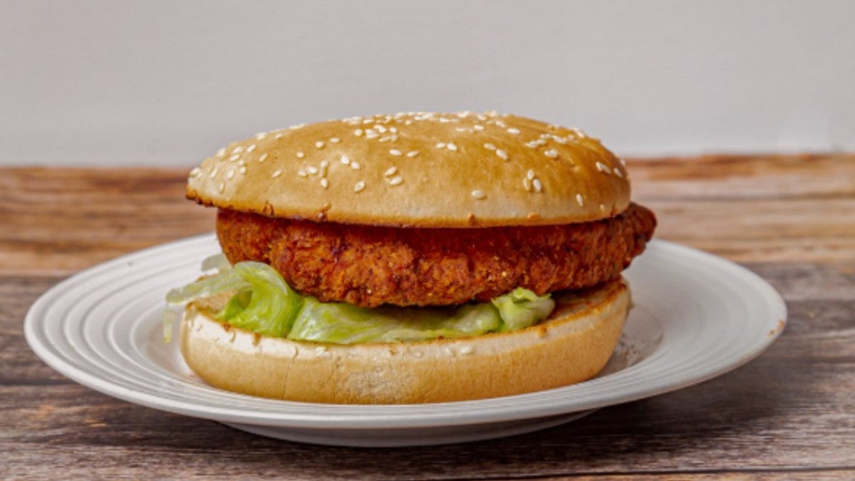 Vegetarian Burger v
