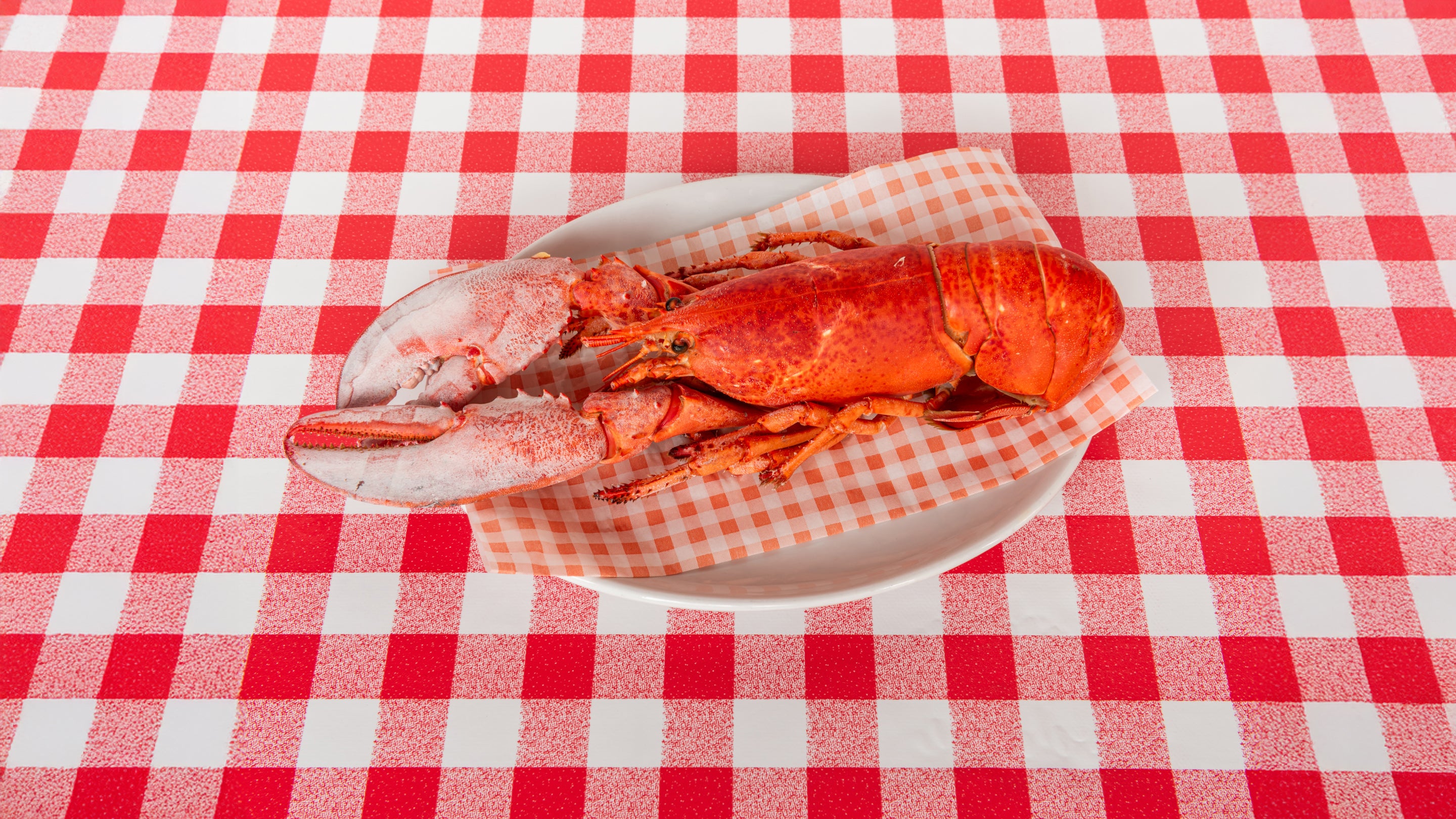 Lobster