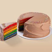Rainbow Chocolate Cake