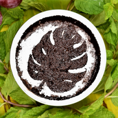 Choco Flan