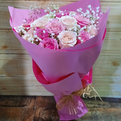 Pink Roses 20 Roses Pink Cover