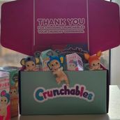 Crunchables X Sonny Angles 