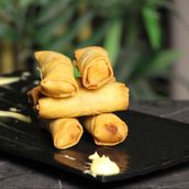 Spring Roll
