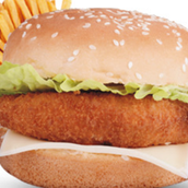 Vegetables Burger