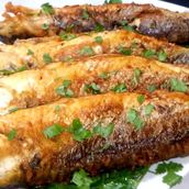 Mullet Fish