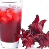 Cold Hibiscus