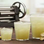 Sugarcane