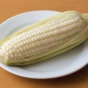 White Corn