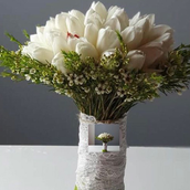 Tulip