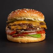 Fancy Cheese Burger