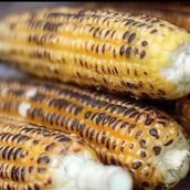 Grilled corn