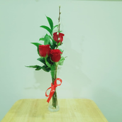 3 Roses In Vase