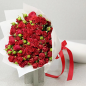 Red Baby Rose Nc
