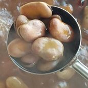 Bajela 