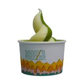 Matcha And Vanilla Ice Cream