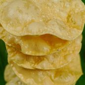 Papad