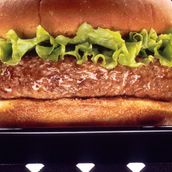 Aliman Meet Burger