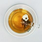 Chamomile