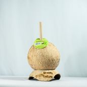 Coconut