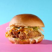 Crispy Chicken