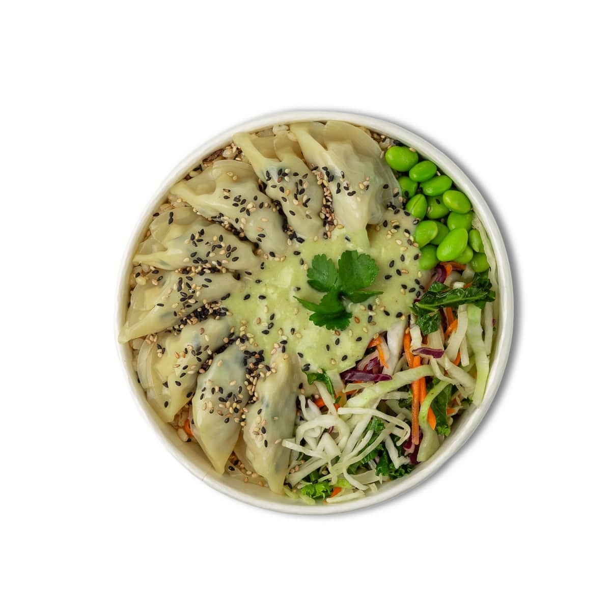 Plant-Based Thai Green Curry Brown Rice Bowl