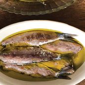 SALTED SARDINES