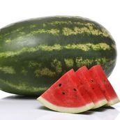 Watermelon Bricks