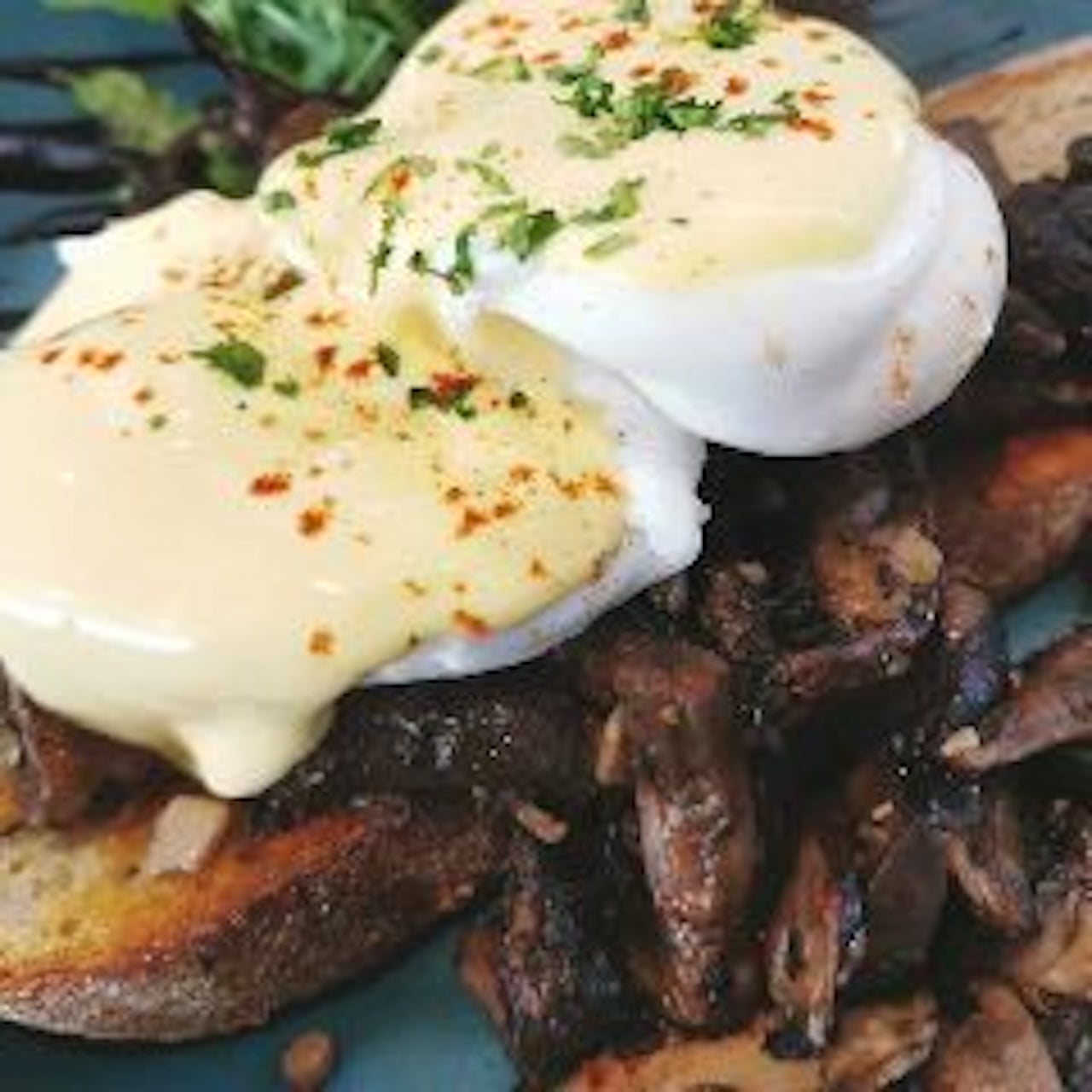 Eggs Funghi