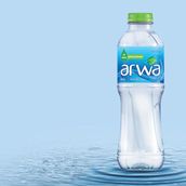 Arwa Wate 