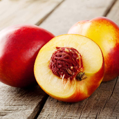 Nectarine Plate